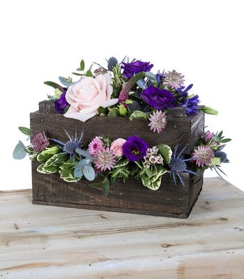 Flower Box – buy online or call 01453 543332